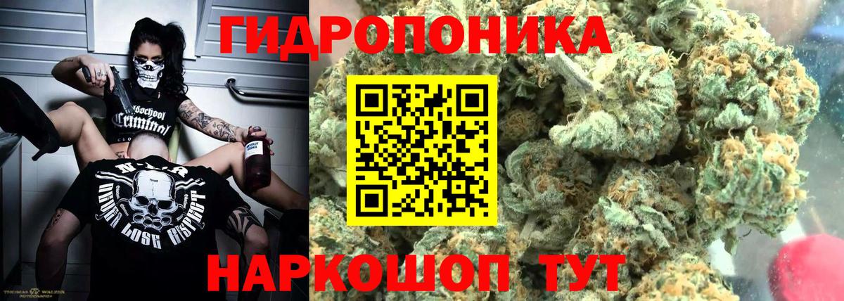 Конопля семена  Бошки марихуана ГИДРОПОН  МАРИХУАНА White Widow  Вход с VPN  Шишки марихуана тримм  Красноуфимск 
